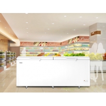 海爾冷柜BC/BD-829GHEP大冷凍柜